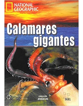Calamares gigantes C1+DVD...