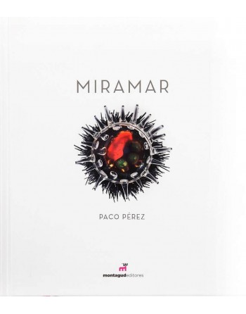 Miramar Paco Pérez