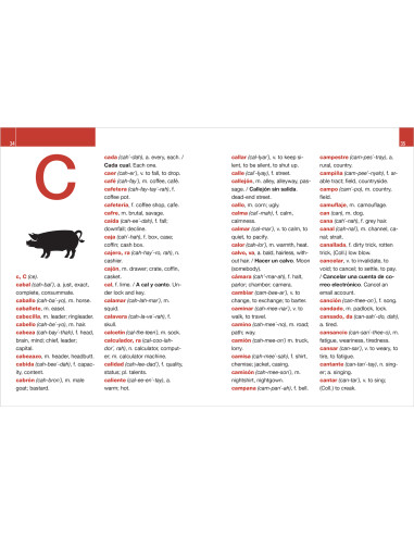 Diccionario escolar: español-inglés