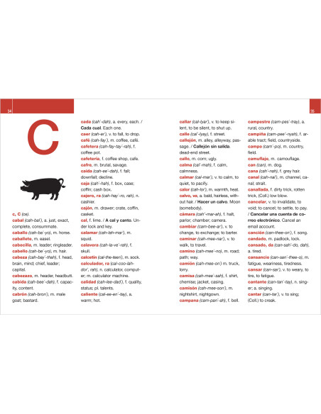Diccionario escolar: español-inglés